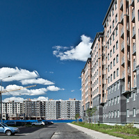 Славянка. Колпинское шоссе.