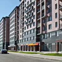 Славянка. Колпинское шоссе.