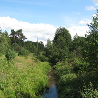 Огинский канал около д. Вулька-Телеханская