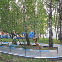 Сыктывкар 2013