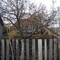 В гостях у мамы 2009