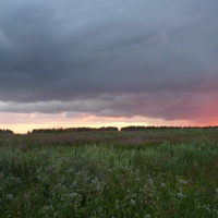 Вечером в Еленовке; июль 2008 г.