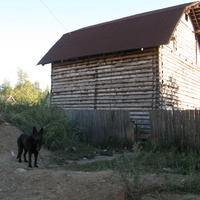 Сыктывкар 2013