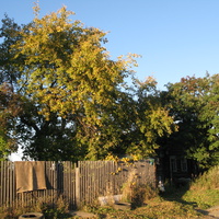 Сыктывкар 2013