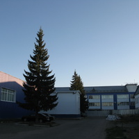 Сыктывкар 2013