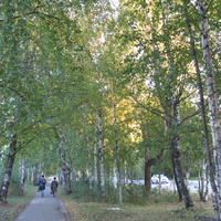 Сыктывкар 2013