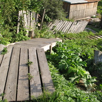 Выльгорт 2013