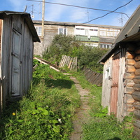 Выльгорт 2013