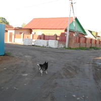 Выльгорт 2013