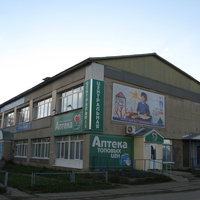 Выльгорт 2013