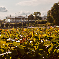 В Екатерининском парке