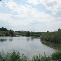 Бессоновский пруд