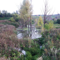 природа около Бессоново