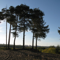 Сыктывкар 2013 Красная гора