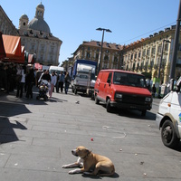 Torino (Турин) 2008