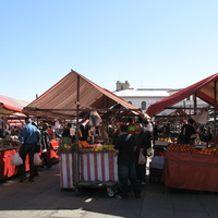 Torino (Турин) 2008