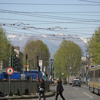 Torino (Турин) 2008