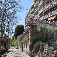 Torino (Турин) 2008