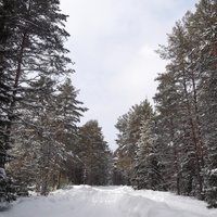 Палкино зима 2011