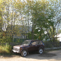 Выльгорт 2013