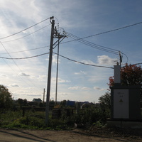 Выльгорт 2013