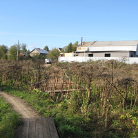 Выльгорт 2013