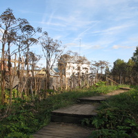 Выльгорт 2013