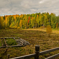 Природа в музее