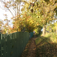 пос. Краснозатонский (Сыктывкар) 2013