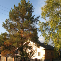 пос. Краснозатонский (Сыктывкар) 2013