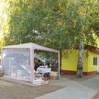 пос. Краснозатонский (Сыктывкар) 2013