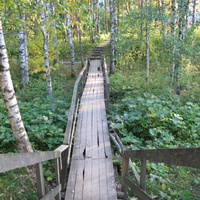 Выльгорт 2013