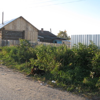 Выльгорт 2013