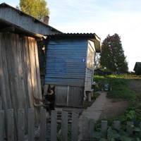 Выльгорт 2013