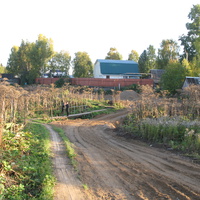 Выльгорт 2013