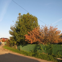 Выльгорт 2013