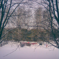 аксентис - зима 2011