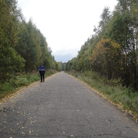 Дорога на Рыбинское