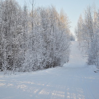 лыжная трасса зимой