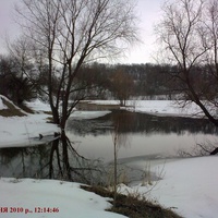 Річка Товстянка в межах Воронівки