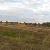 Сыктывкар 2013 Заречье