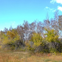 Природа на окраине села Михайловка