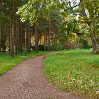 Дорожка в Екатерининском парке