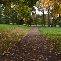 Дорожка в Екатерининском парке