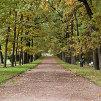 Рамповая аллея в Екатерининском парке