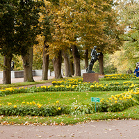 Рамповая аллея