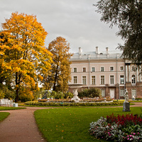 Собственный садик