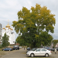 Сыктывкар 2013