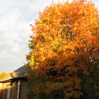 Сыктывкар 2013 ул. Энгельса