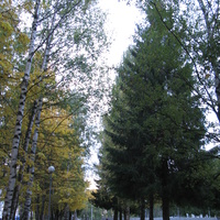 Сыктывкар 2013 у вечного огня